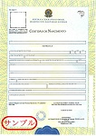 ブラジル出生証明書