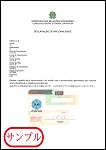 ブラジル国籍宣言書
